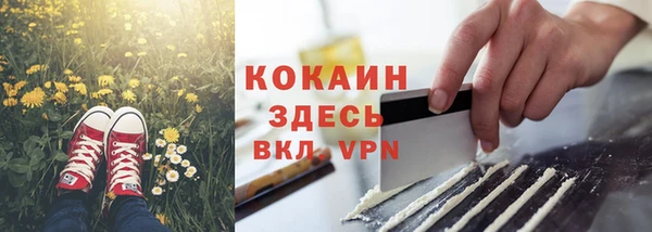 mdpv Краснослободск