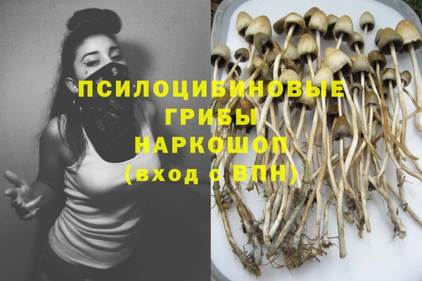 бошки Кукмор