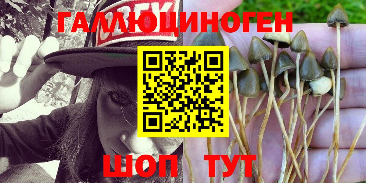 Героин Ухта