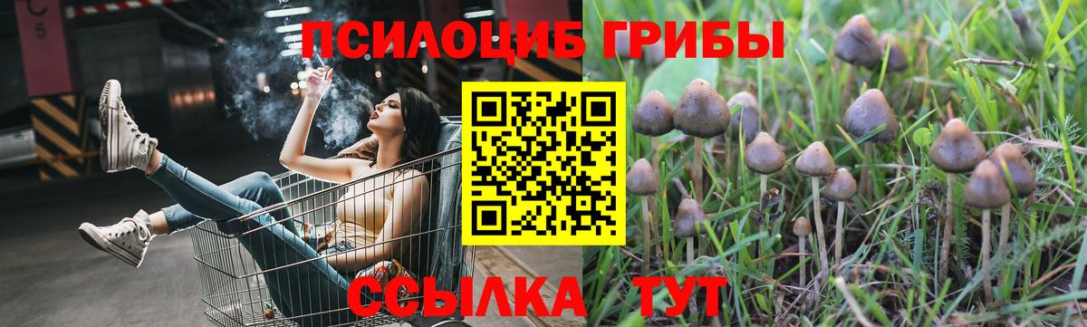 где можно купить   Галлюциногенные грибы Cubensis  Вход с VPN  Ухта 
